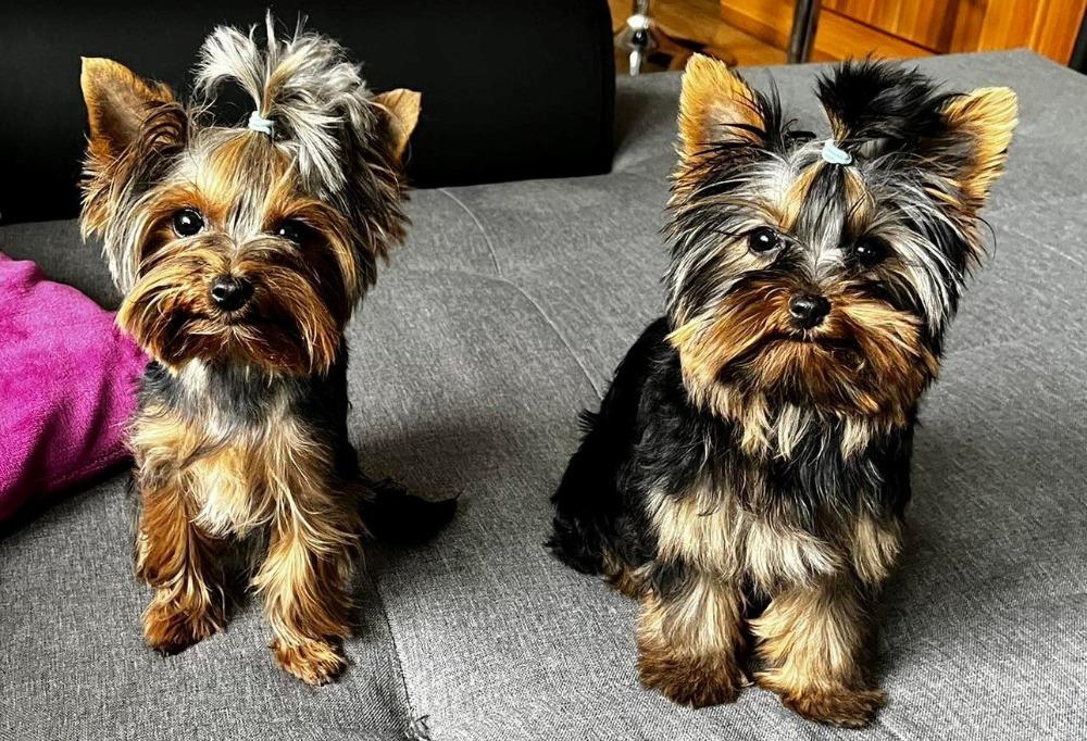 Ornella a Sally Tiny Angel